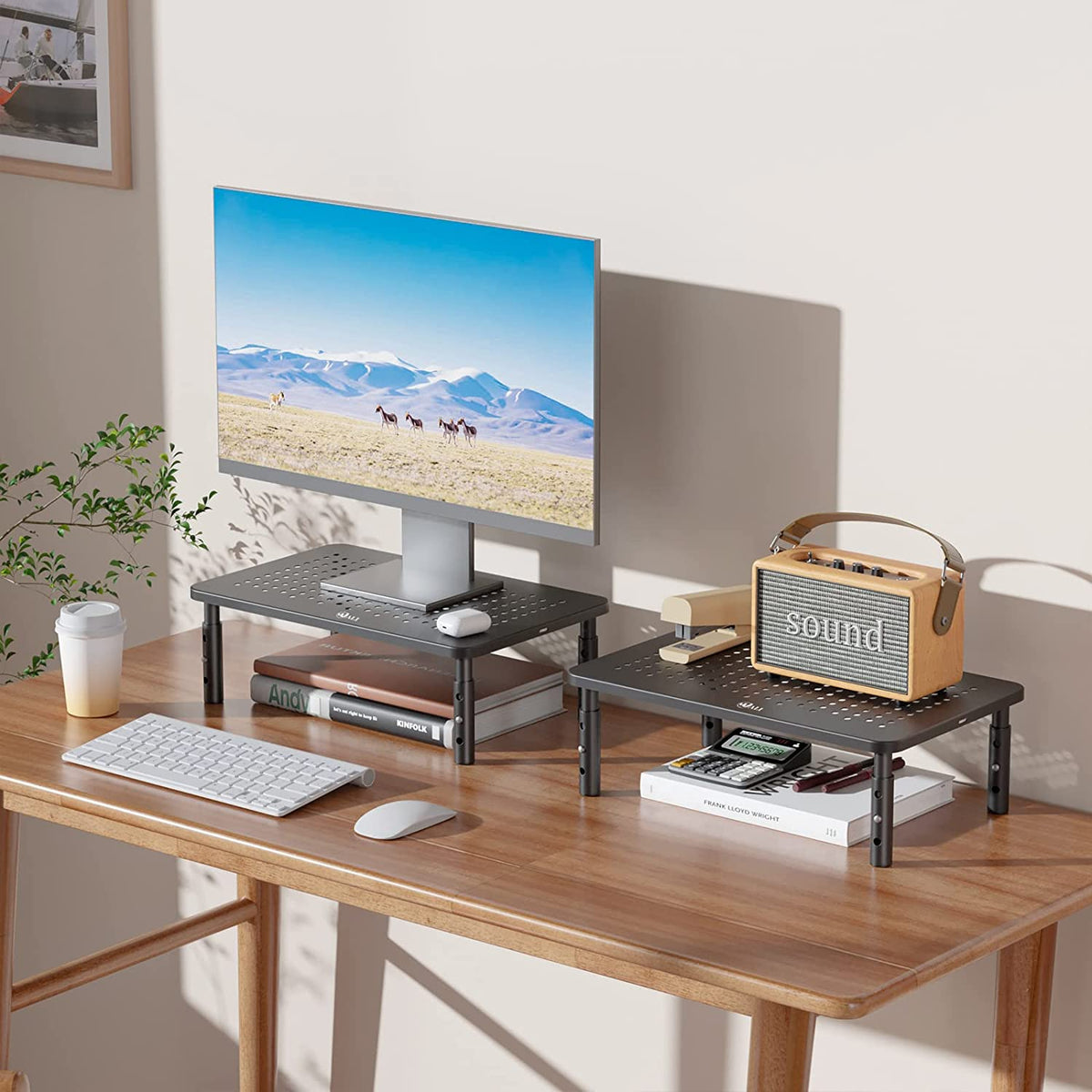 Dual Monitor Stand for Desk, Adjustable Laptop Riser, up to 44 Lbs